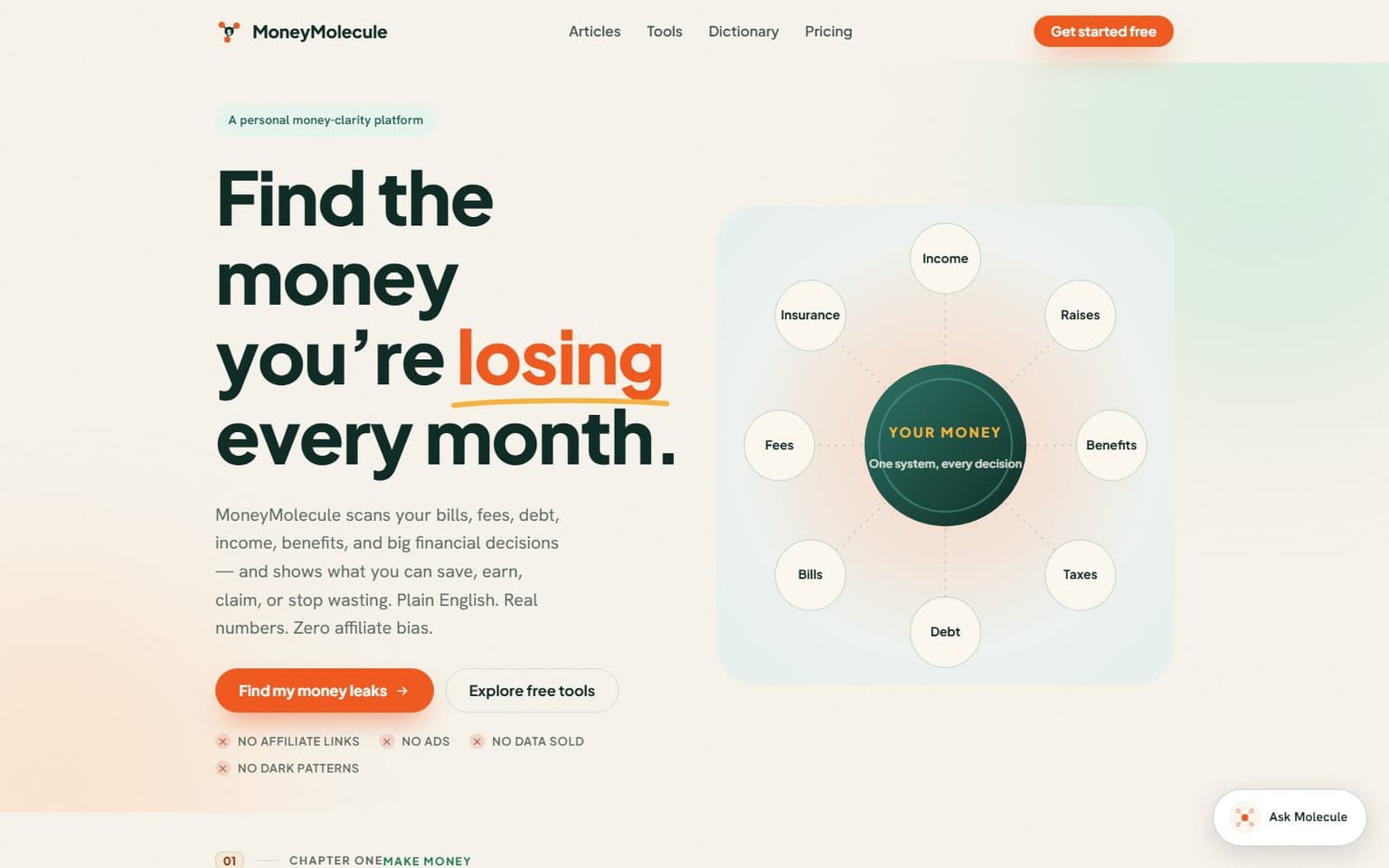 Money Molecule website, desktop screenshot